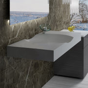 DW-117 Rectangular Wall Mounted Sink Shown